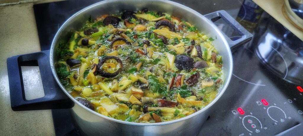 מרק פטריות עשיר